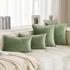 MIULEE Sage Green Velvet Throw Pillow Covers 20x20 Soft Decorative