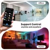 PAUTIX WiFi LED Controller for Single Color/CCT/RGB/RGBW/RGBCCT LED Strip Lights