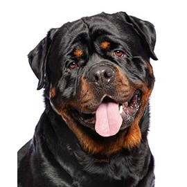 Journal: Rottweiler Notebook