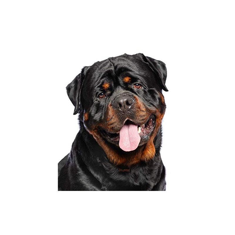Journal: Rottweiler Notebook