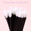 600pcs Disposable Lip Applicators, Black Disposable Lip Wands Lipstick Applicator
