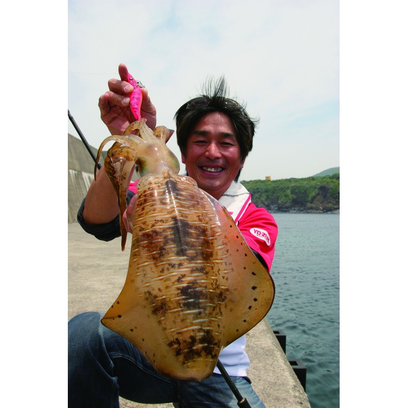 YO-ZURI(ヨーヅリ) ルアー エギ アオリーQ エース 3.0号 BWEO