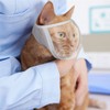 Cat Muzzle, 1 Pcs Breathable Transparent Cat Face Guard, Prevent