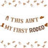Western 2nd Birthday Party Decorations - This Ain't My First