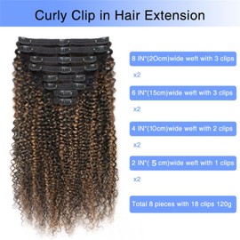 FB30 Highlight Ombre Curly Clip In Extension Human Hair 3C 4A Kinky Curly Clip Ins Full Head for Black Women Brazilian Remy Human Hair Balayage Brown 8Pcs with18clips 120g/Set (22 inch)
