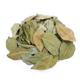 OTMARTFOOD 100g fresh domestic guava leaves