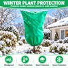 Drawstring Plant Frost Protection Covers for Outdoor Trees and Shrubs
