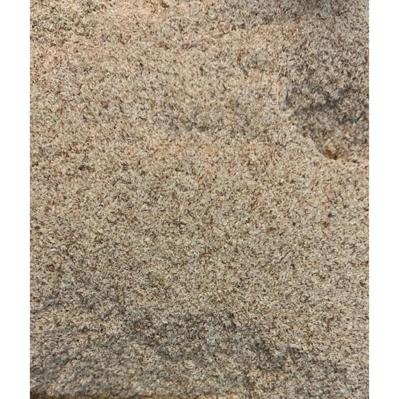 Psyllium Husk Plantago Polvo Puro Sin Azúcar 250 Gramos