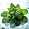 Cool Mint High Strength Flavouring - 230+ Flavours - Galaxy