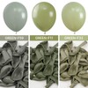 PartyWoo Dusty Green Balloons 50 pcs 12 Inch Matte Sage