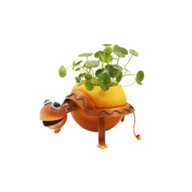 Turtle Metal Planter with Pot Liner Succulent Pot Gardening Decoration Kitchen Home Plant Decortation