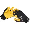 CAMP Axion Light L