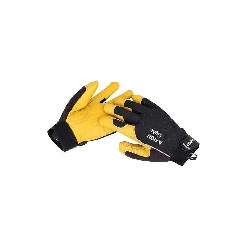 CAMP Axion Light L