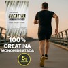 Creatina Monohidratada, Alta Pureza, Sin Sabor, 450g, 90 Porciones