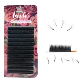 Blister Masskacu Easy Fan - Volumen - Autofloracion                                                                                                   