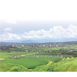 Aomori Prefecture Takko-machi, Super Deodorizing Grated Garlic, 2.5 oz (70 g) x 2 Sets