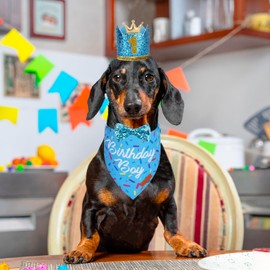 PTDECOR Dog Birthday Party Supplies, Multi Size Birthday Boy Bandana，Blue Crowns Birthday Dog Hat Set for Small Pets (Small)
