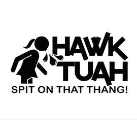 Hawk Tuah - Spit On That Thang! Vinyl Decal by Check Custom Design | Multiple Colors and Sizes