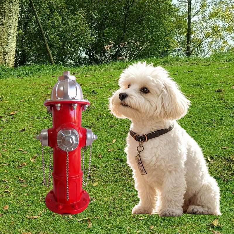 SHGYIBRISK Fire Hydrant for Dogs to Pee On: Dog Fire