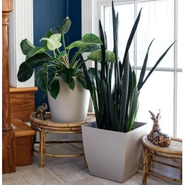 The HC Companies 12 Inch Aria Round Self Watering Planter - Plastic Plant Pot for Indoor Outdoor Plants Flowers Herbs, Beige