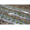 Dio Kasei Black Multi 0.0008 inches (0.02 mm) 53.1 inches
