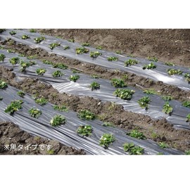 Dio Kasei Black Multi 0.0008 inches (0.02 mm) 53.1 inches (135 cm) x 16