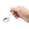 Takagi Sugar Ladle, Set of 10, Lilac, Sugar Spoon, Stainless