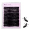 Lash Clusters 80D Wispy Individual Lashes 280PCS 3D Volume Lash