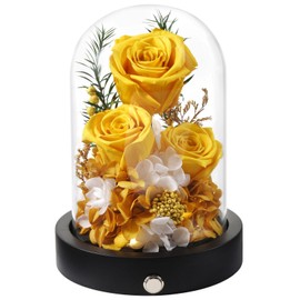 Pinnetetti Flowers for Delivery Prime Preserved Roses Flowers in Glass Dome Long-Lasting Real Yellow Forever Roses Anniversary Christmas Valentines Day Birthday for for Her Women Mother Wife
