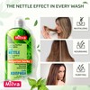 Nettle Shampoo – Helps Regulate Sebum Production, Reduce Dandruff &