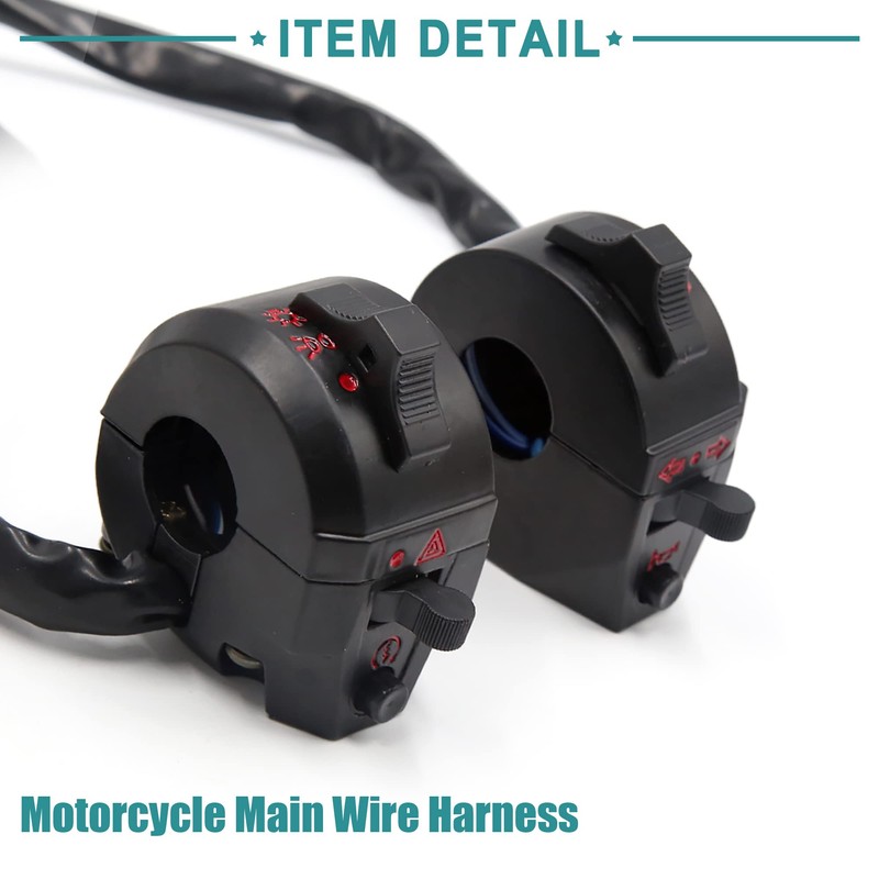 ACROPIX Motorcycle Electric Main Wire Harness with Left & Right