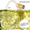 Joywayus Solid Brass Oxygen Regulator Tank Valve Fit Disposable Tanks