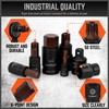 HORDSY 66-Piece Allen & Torx Bit Socket Set - S2
