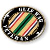 Gulf War Veteran 3D Domed CAR Emblem Badge Sticker Flexible