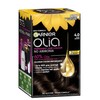 Garnier, Permanent Hair Colour, Ammonia Free and Nourishing, Olia, 4.0