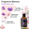 MAYJAM Violet Reverie Fragrance Oil Essential Oil, MAYJAM 3.38FL.OZ Violet