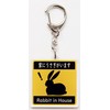 [SunAge] Rabbit in House Pictogram Funny Keychain Key Ring Acrylic