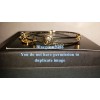 Alex and Ani Sacred Studs Path of Life Bangle Gold