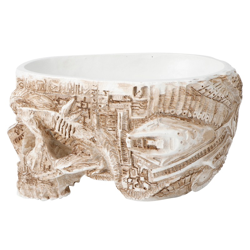 Innovative Resin Skull shaped Flower Pot Succulent Planter Holder Ornament