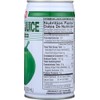 Foco Juice Coconut