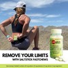 SaltStick Fastchews, Electrolyte Replacement Tablets for Rehydration, Exercise, Hiking &