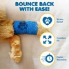 SunGrow Cat Self-Adhesive Bandage, Wound Care, Cuts, Post-Surgery, Hot Spots,