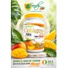 Colágeno Hidrolizado Sandy 1.1 Kg Polvo Sabor Mango