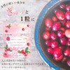 Healthy extract Bee Zin Cranberry Chewables with Cherry Blossom Extract,