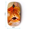 KOOLmouse [ Optical 2.4G Wireless Mouse [ Cat Oranage Ginger