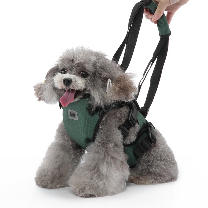 Cat Vest Harnesses Leash Adjustable Breathable Stylish Multifunctional Pet Walking