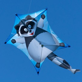CIM Kite – Penta Waschbär - Raccoon- Size: 167cm x 102cm - Single line kite for children from 6 years - incl. 80m kite string and striped tails