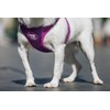 DUKIER - Dog Body Harness, Adjustable and Sturdy Body Armour,