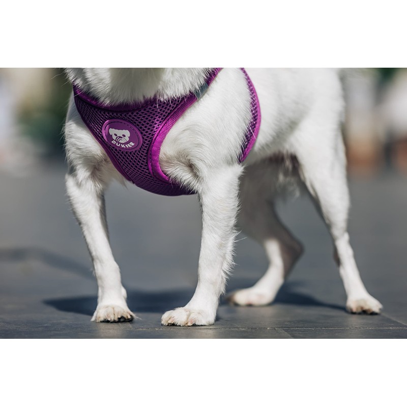DUKIER - Dog Body Harness, Adjustable and Sturdy Body Armour,