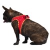 AMTOR Small Dog Harness with Leash Set, No Escape Easy